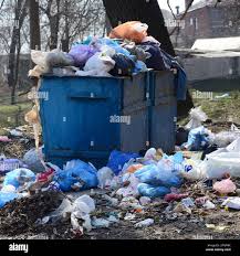 Best Residential Junk Removal  in Norwood Young America, MN